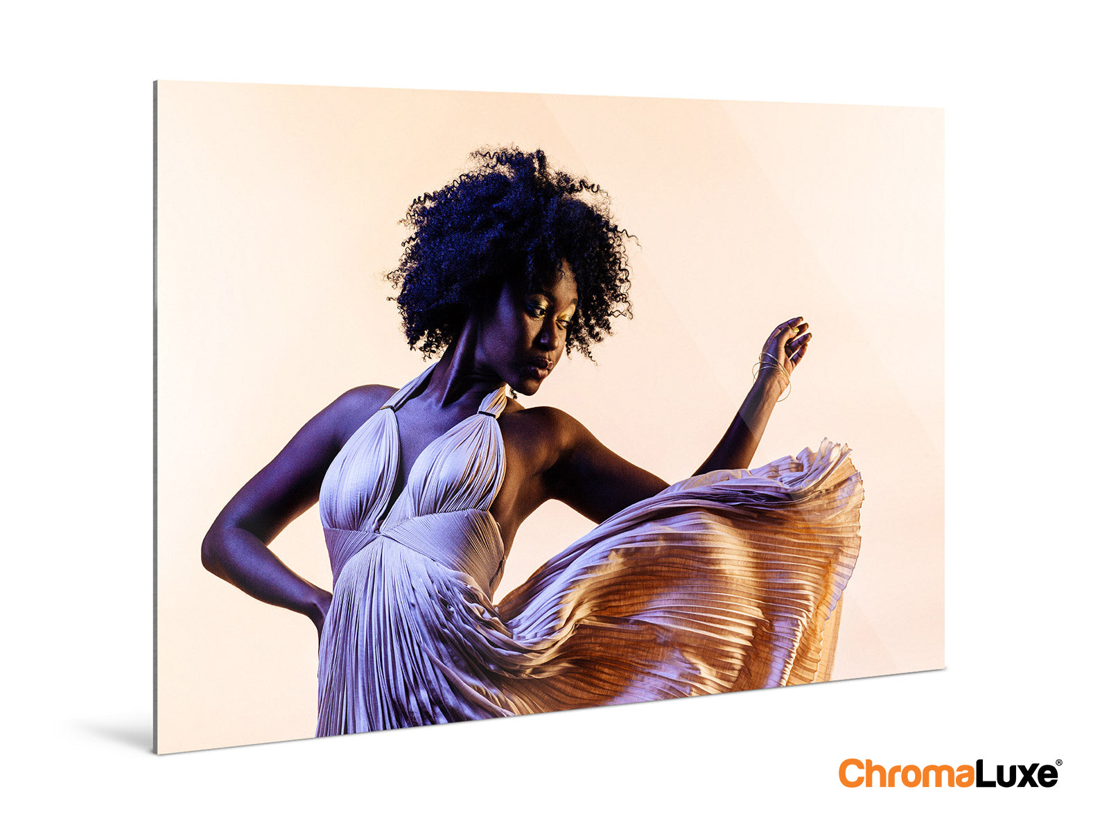 ChromaLuxe HD metal print displayed on wall