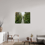 40 x 30″, Photo Print Under Acrylic Glass (0.16") Forest Amongst the Clouds